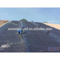 2.0mm ASTM standard HDPE geomembrane vente chaude en Chine